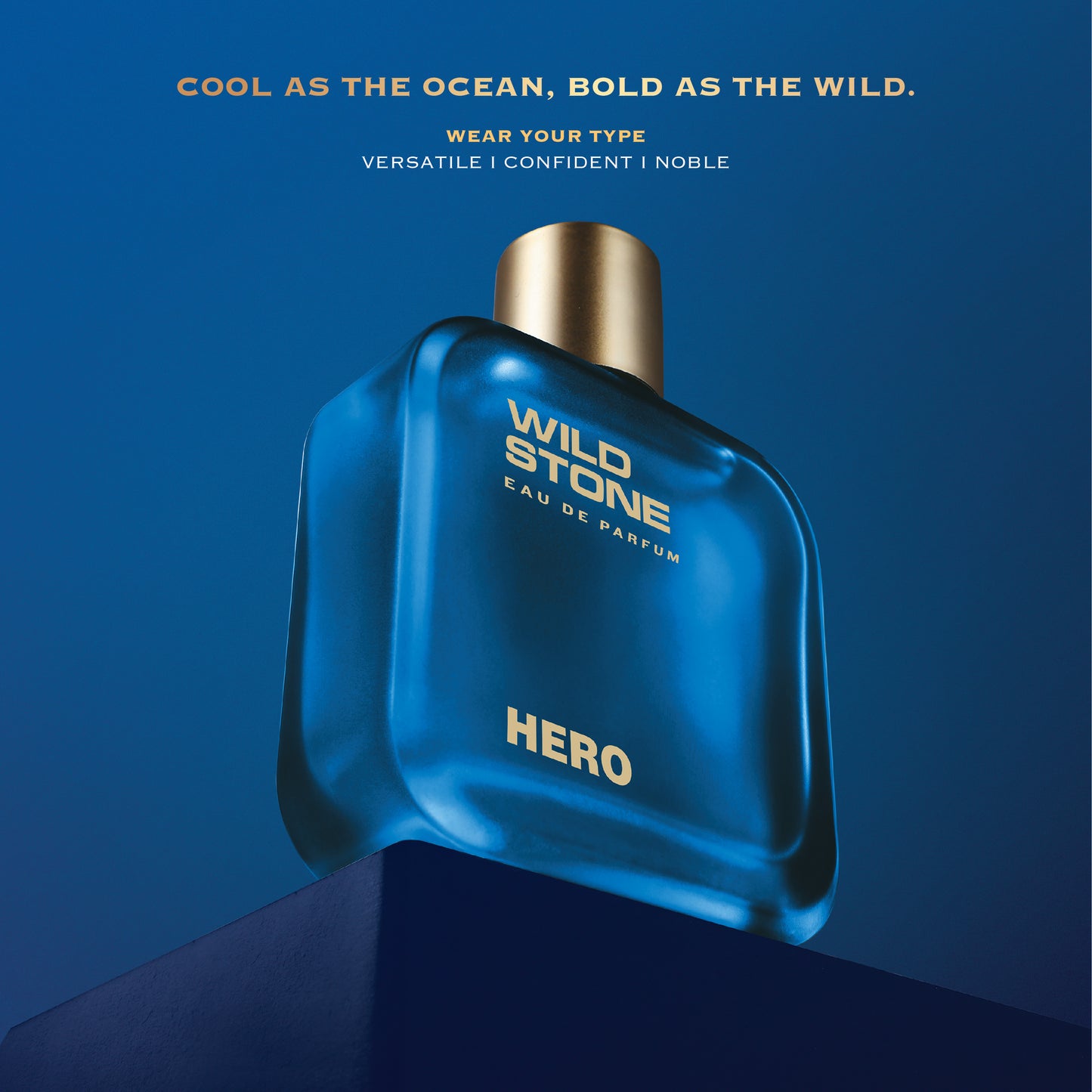 Wild Stone Hero Perfume for Men 100 ml