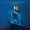 Wild Stone Hero Perfume for Men 100 ml