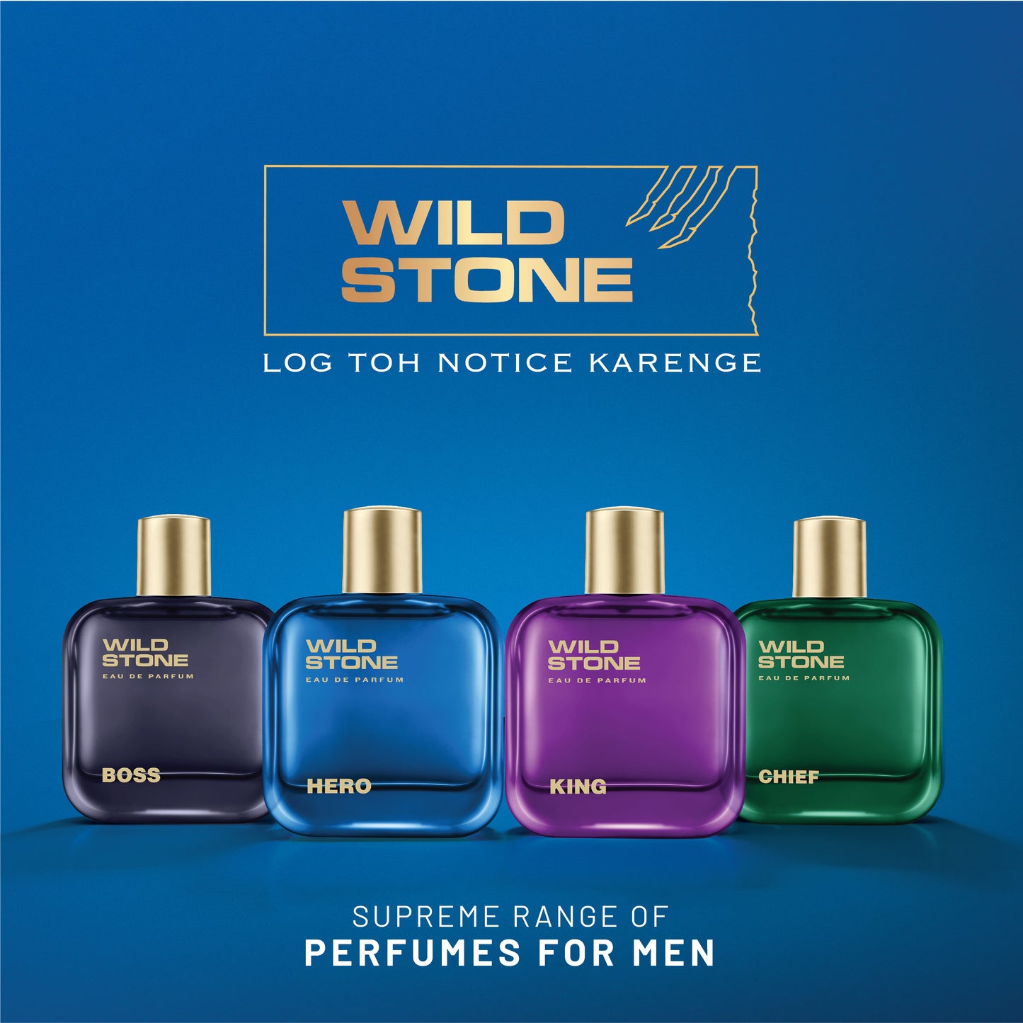 Wild Stone Hero Perfume for Men 100 ml